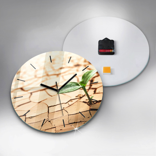Round glass clock Plant in dry soil