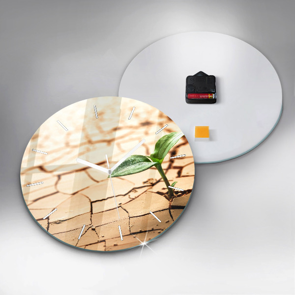 Round glass clock Plant in dry soil