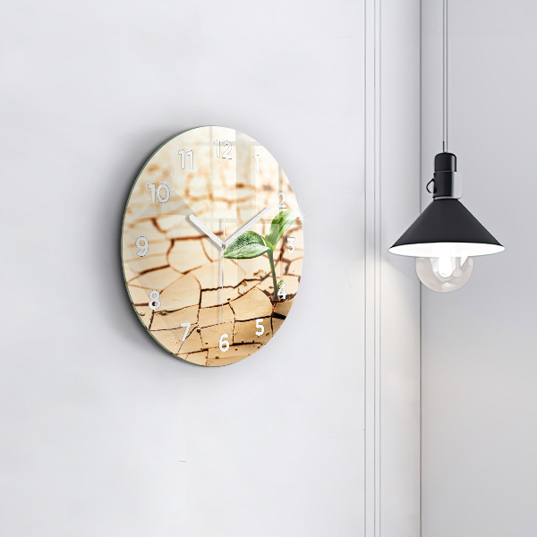 Round glass clock Plant in dry soil