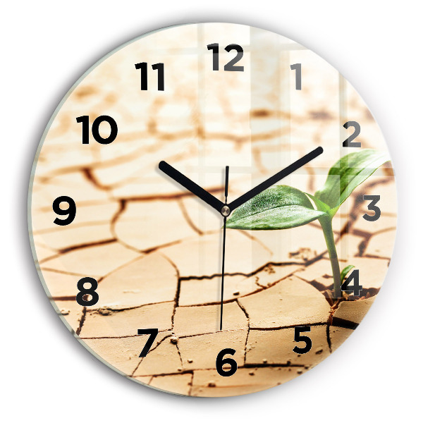 Round glass clock Plant in dry soil