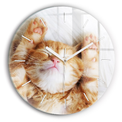 Round glass clock Sleeping little kitten