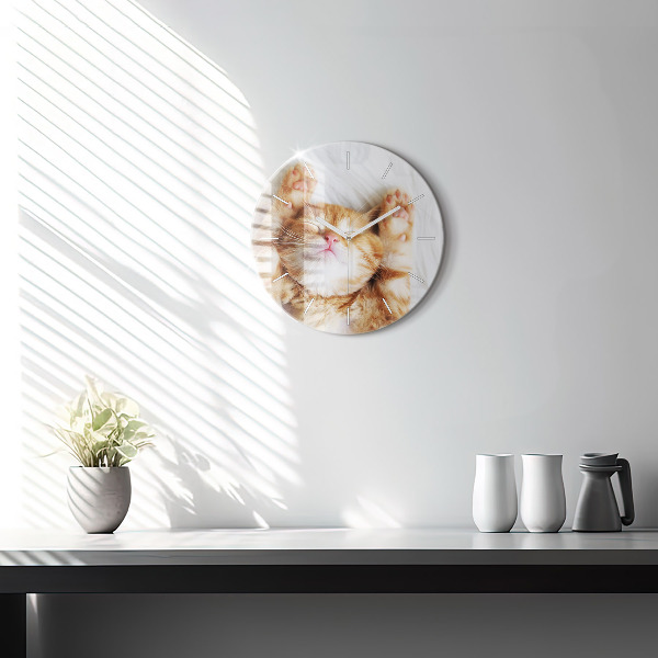 Round glass clock Sleeping little kitten