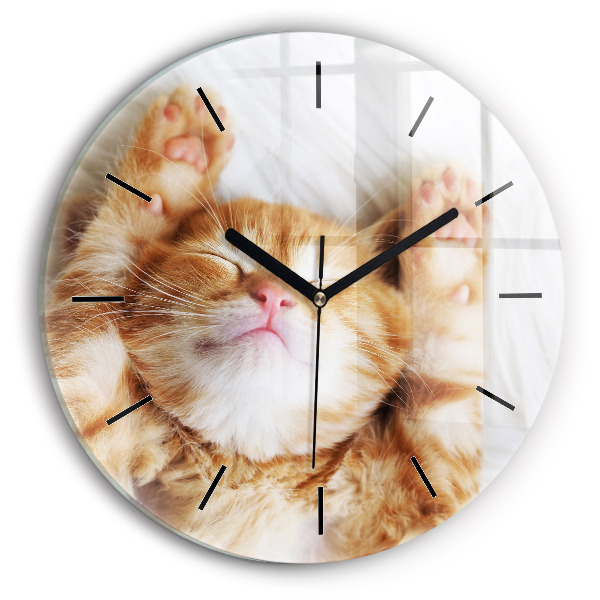 Round glass clock Sleeping little kitten