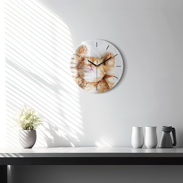 Round glass clock Sleeping little kitten