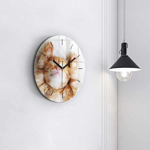 Round glass clock Sleeping little kitten
