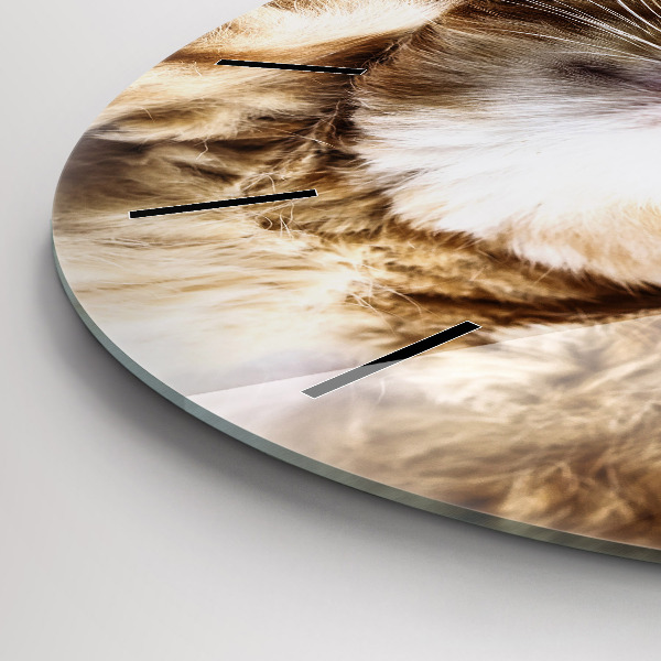Round glass clock Sleeping little kitten