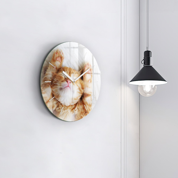 Round glass clock Sleeping little kitten