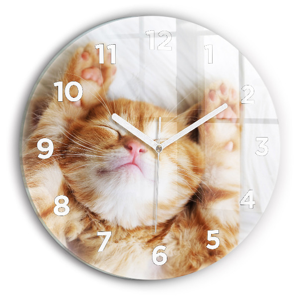 Round glass clock Sleeping little kitten