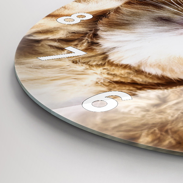 Round glass clock Sleeping little kitten