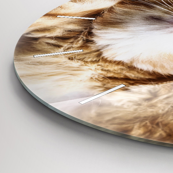 Round glass clock Sleeping little kitten
