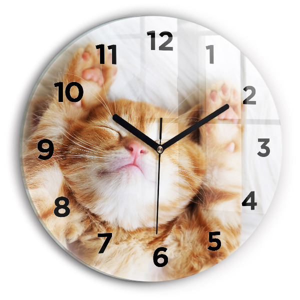 Round glass clock Sleeping little kitten