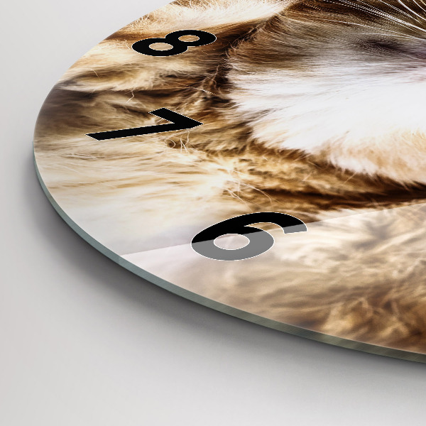 Round glass clock Sleeping little kitten