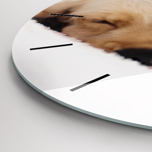 Round glass clock Sleeping cat and dog