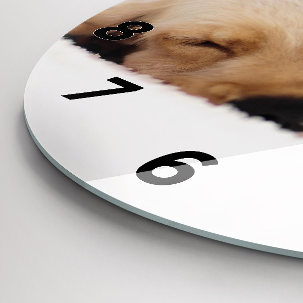 Round glass clock Sleeping cat and dog