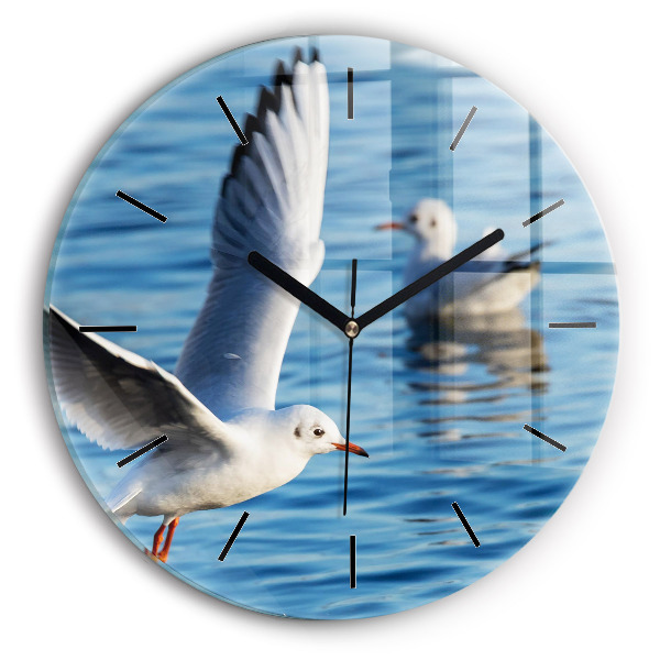 Round glass clock Seagulls in Gdynia