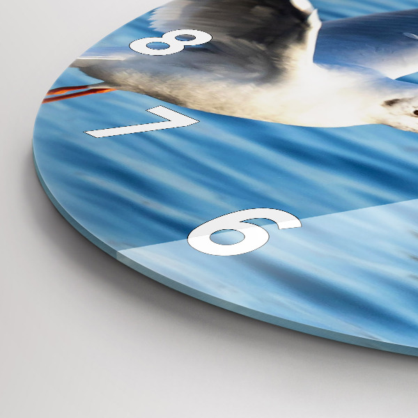 Round glass clock Seagulls in Gdynia