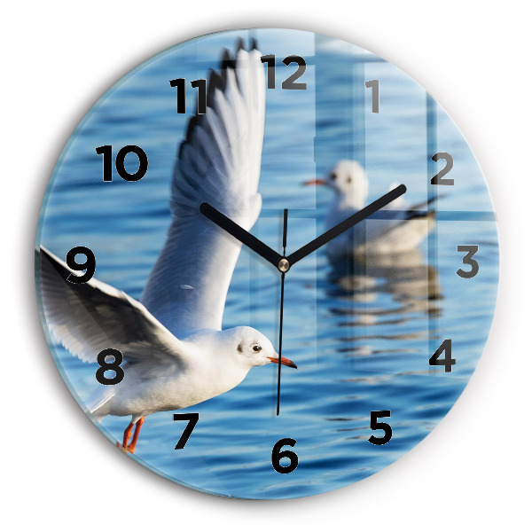 Round glass clock Seagulls in Gdynia