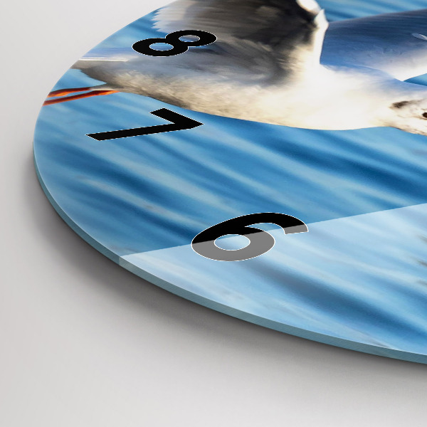 Round glass clock Seagulls in Gdynia