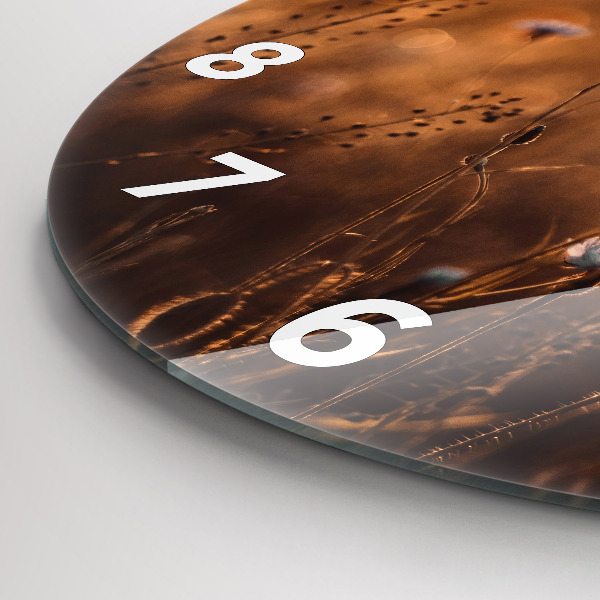 Round glass clock Field sunrise