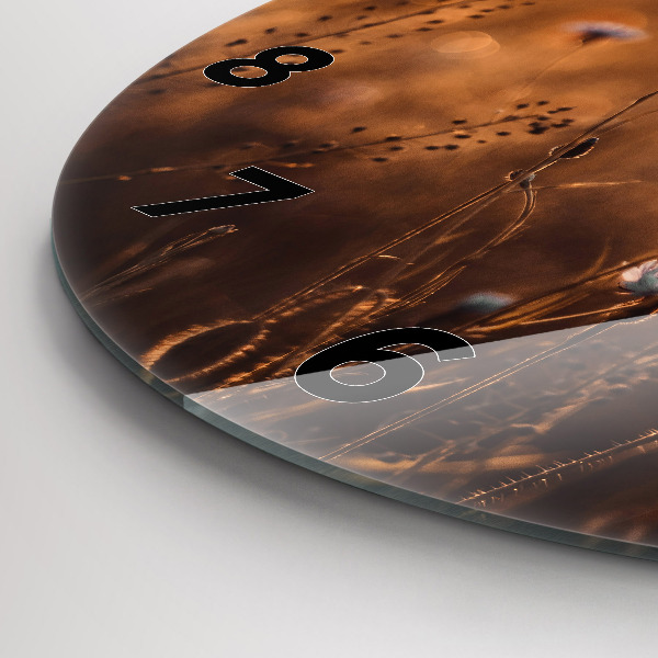 Round glass clock Field sunrise