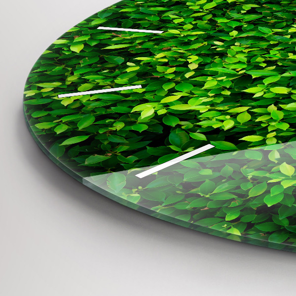Round glass clock Hedge leaves