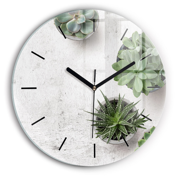 Round glass clock Ornamental plants