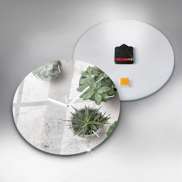 Round glass clock Ornamental plants