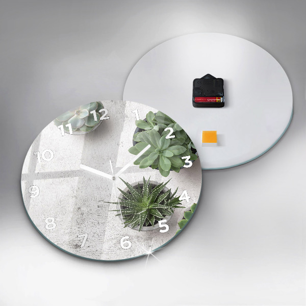 Round glass clock Ornamental plants