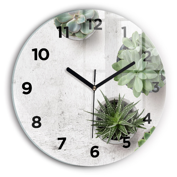 Round glass clock Ornamental plants